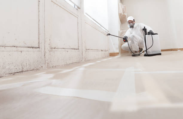 24/7 Emergency Mold Testing experts in Brighton, MA