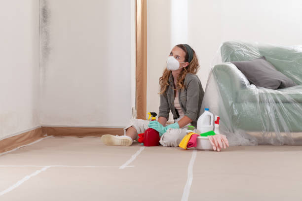 Reliable Mold Testing contractor in Brighton, MA by WQB Mold Removal